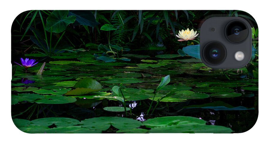 Bonnie Follett iPhone 14 Case featuring the photograph Water Lilies in the Pond by Bonnie Follett