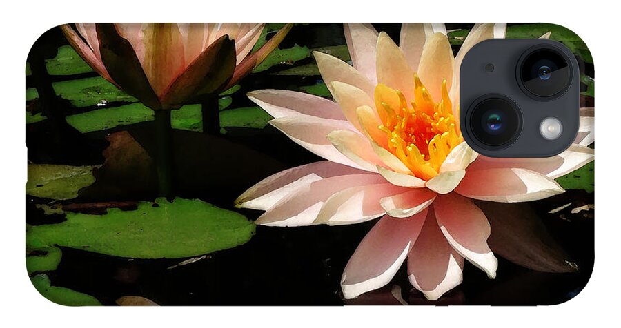 Photo iPhone Case featuring the photograph Water Lily in Sunshine by Deborah Smith