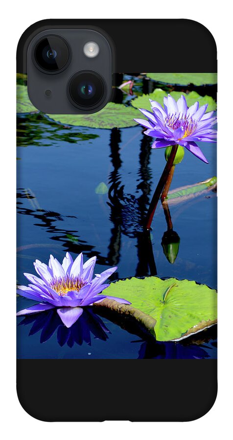 Water Lily iPhone Case featuring the photograph Water Lily by Lisa Blake