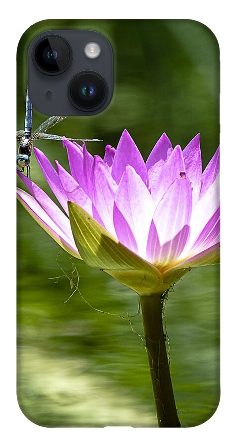 Water Lily iPhone Case featuring the photograph Water Lily with Dragon Fly by Bill Barber