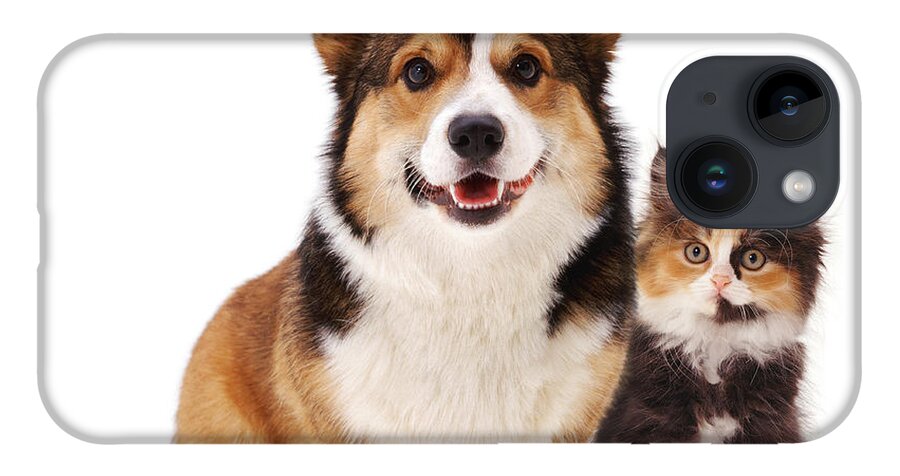 White Background iPhone 14 Case featuring the photograph Welsh Corgi And Kitten by Jane Burton
