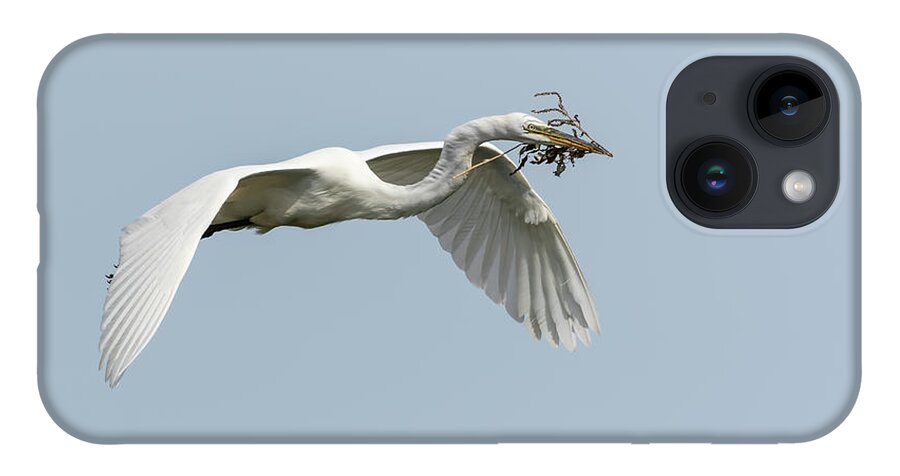 Great Egret iPhone Case featuring the photograph White Egret 2016-1 by Thomas Young