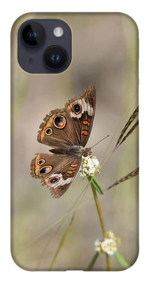 Butterfly iPhone 14 Case featuring the photograph Buckeye Butterfly Resting On White Flowers - Horizontal by Artful Imagery
