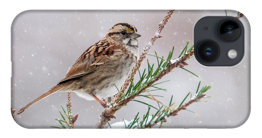 Bird iPhone 14 Case featuring the photograph White Throated Sparrow by Cathy Kovarik