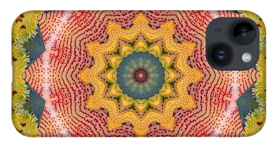 Mandalas iPhone 14 Case featuring the photograph Wholeness by Bell And Todd