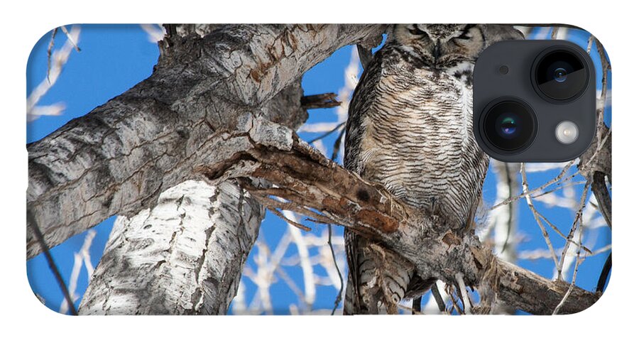 Great Horned Owl iPhone 14 Case featuring the photograph Whooo Are You? by Mindy Musick King