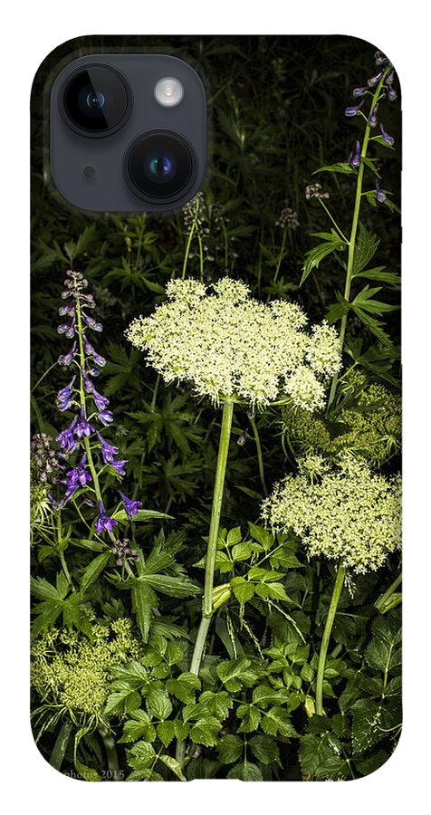 Wildflower iPhone 14 Case featuring the photograph Wild Celery and Larkspur by Fred Denner