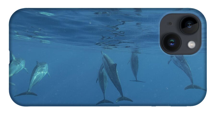 Big Island iPhone 14 Case featuring the photograph Wild Dolphins by Art Atkins
