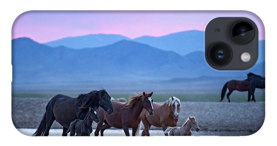 Wild Horse iPhone 14 Case featuring the photograph Wild Horse Sunrise by Wesley Aston
