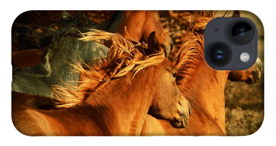 Horse iPhone 14 Case featuring the photograph Wild Horses by Dimitar Hristov