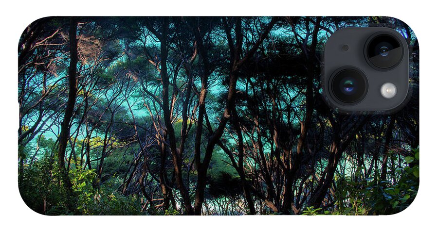 Wild Woods iPhone Case featuring the photograph New Zealand Wild by Warren Home Decor