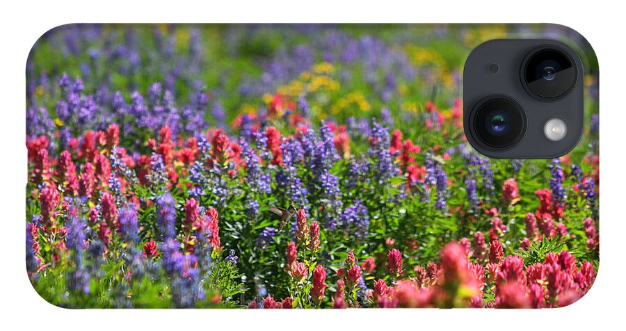 Wildflower iPhone 14 Case featuring the photograph Wildflower Meadow and Hummingbird by Brett Pelletier