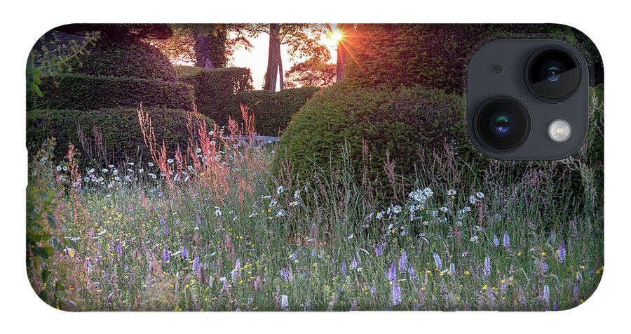Sunset iPhone 14 Case featuring the photograph Wildflower Meadow at Sunset, Great Dixter by Perry Rodriguez