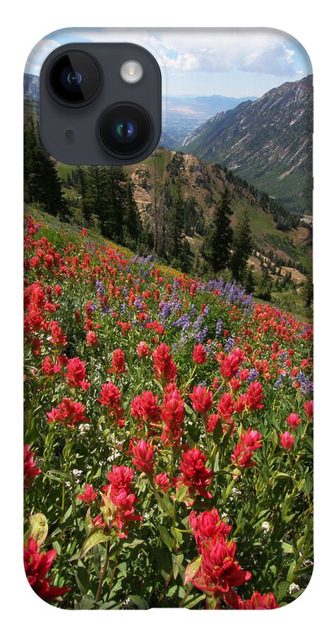 Landscape iPhone 14 Case featuring the photograph Wildflowers and View Down Canyon by Brett Pelletier