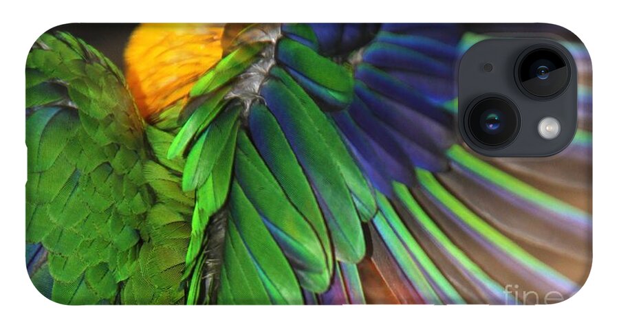 Feathers iPhone Case featuring the photograph Wings of a Conure by Andrea Lazar