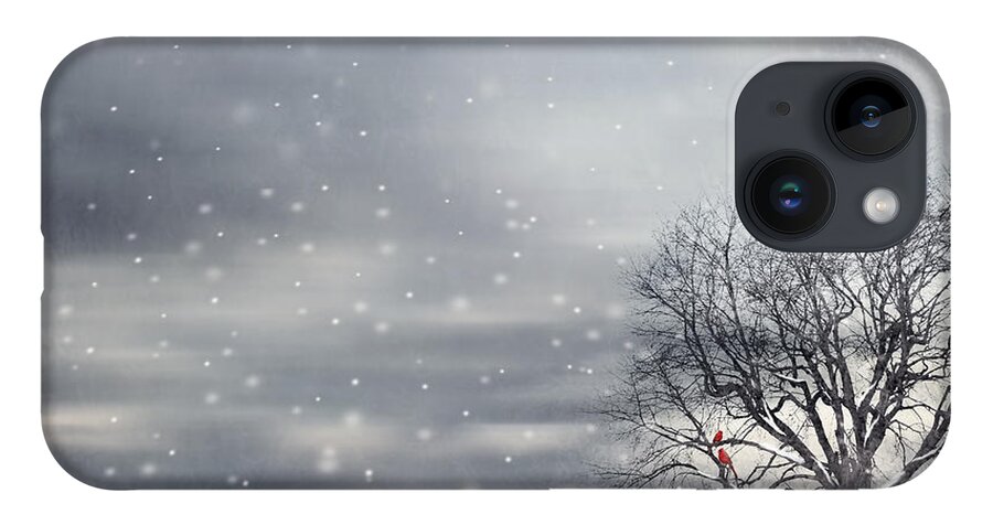 Four Seasons iPhone Case featuring the photograph Winter by Lourry Legarde