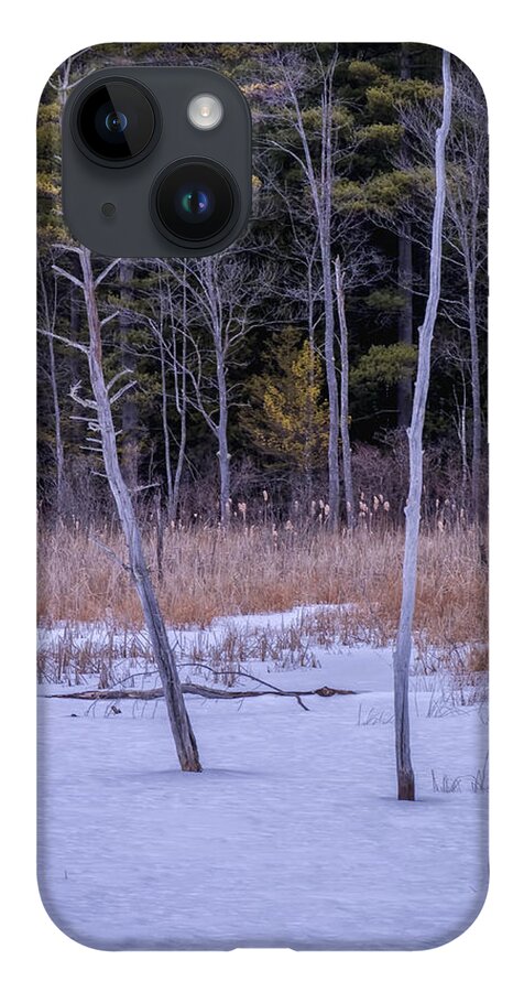 Spofford Lake New Hampshire iPhone 14 Case featuring the photograph Winter Marsh And Trees by Tom Singleton