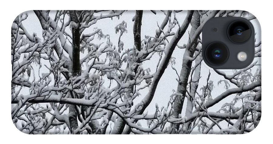 Ice iPhone 14 Case featuring the photograph Winter Sky through Snow Branches by Vic Ritchey