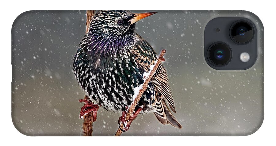 Starling iPhone 14 Case featuring the photograph Winter Starling 2 by Cathy Kovarik