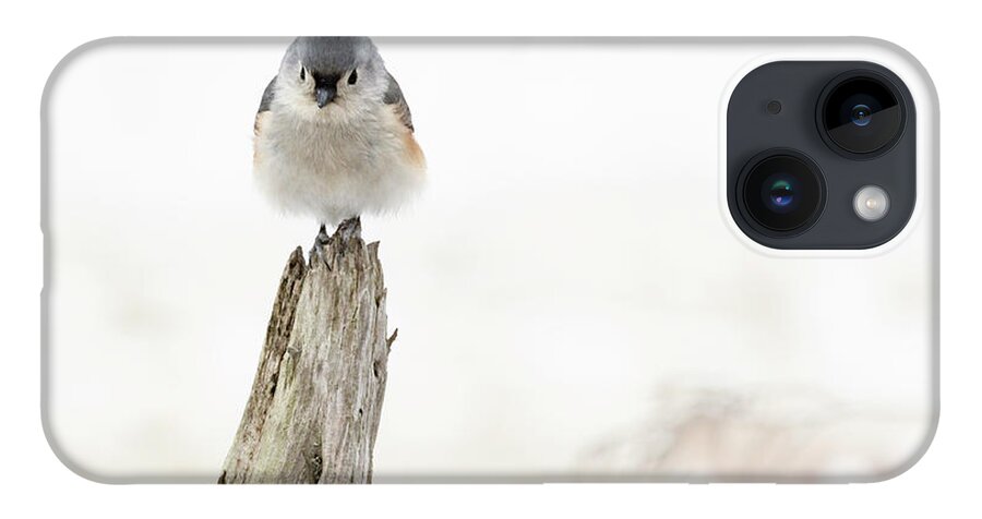 Bird iPhone 14 Case featuring the photograph Winter Visit by Holly Ross