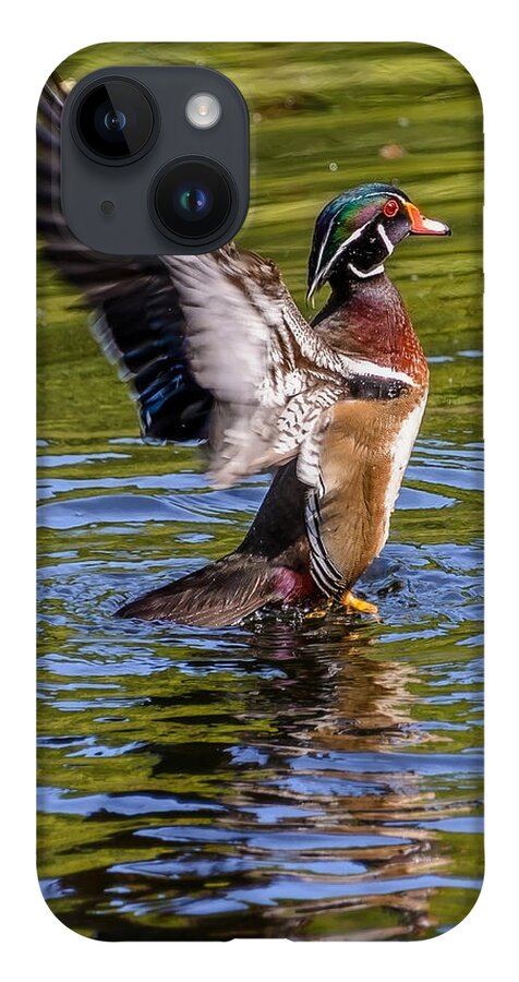 Wood iPhone Case featuring the photograph Wood Duck Flapping by Jerry Cahill