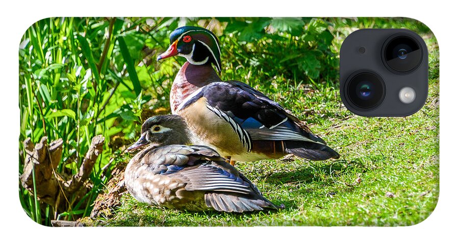 Wood Ducks iPhone Case featuring the photograph Wood Duck Pair by Jerry Cahill