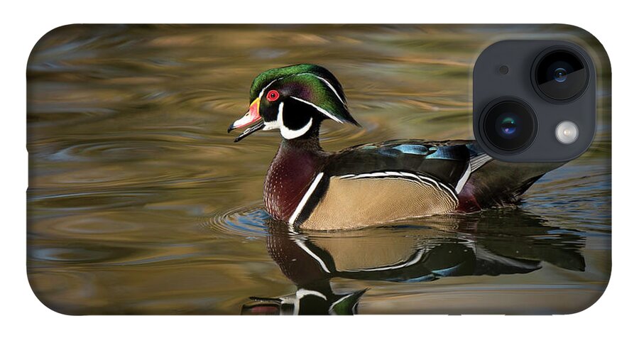 Photography iPhone 14 Case featuring the pyrography Wood Duck by Ron Woodbury