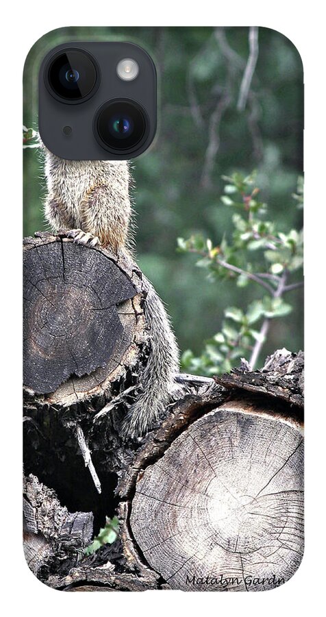 Squirrel iPhone Case featuring the photograph Woodpile Squirrel by Matalyn Gardner