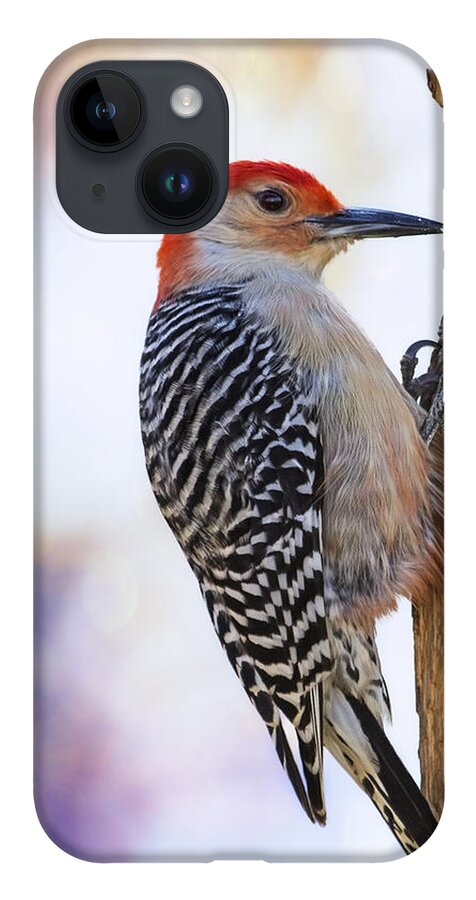 Red-bellied Woodpecker iPhone 14 Case featuring the photograph Woody On Pink Bokeh by Bill and Linda Tiepelman