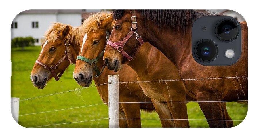 Horses iPhone 14 Case featuring the photograph Workhorse Trio by Kevin Craft