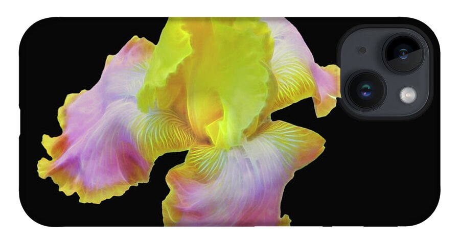 Iris iPhone Case featuring the photograph Yellow and Pink Iris by Mike Stephens