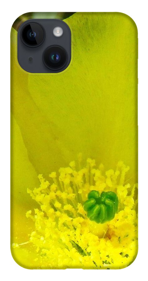  Arizona iPhone 14 Case featuring the photograph Yellow Bloom 1 - Prickly Pear Cactus by Judy Kennedy
