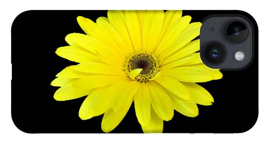 Yellow iPhone 14 Case featuring the photograph Yellow Daisy Flower by Delynn Addams by Delynn Addams