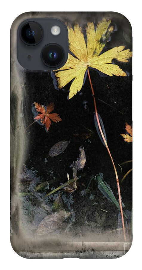 Landscape iPhone Case featuring the photograph Yellow Leaf by Craig J Satterlee