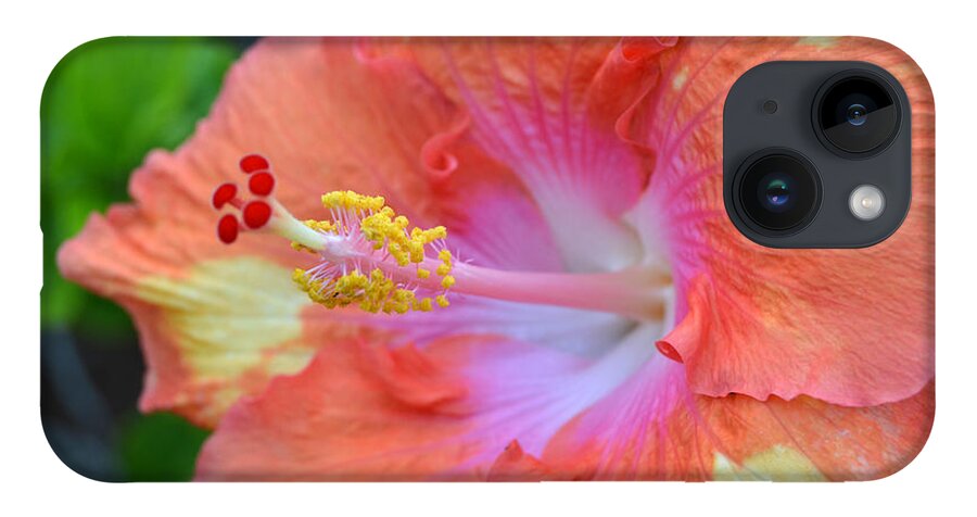 Flower iPhone 14 Case featuring the photograph Yellow Orange Hibiscus by Amy Fose