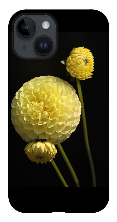 Bright iPhone 14 Case featuring the photograph Yellow Pom Poms by Tammy Pool