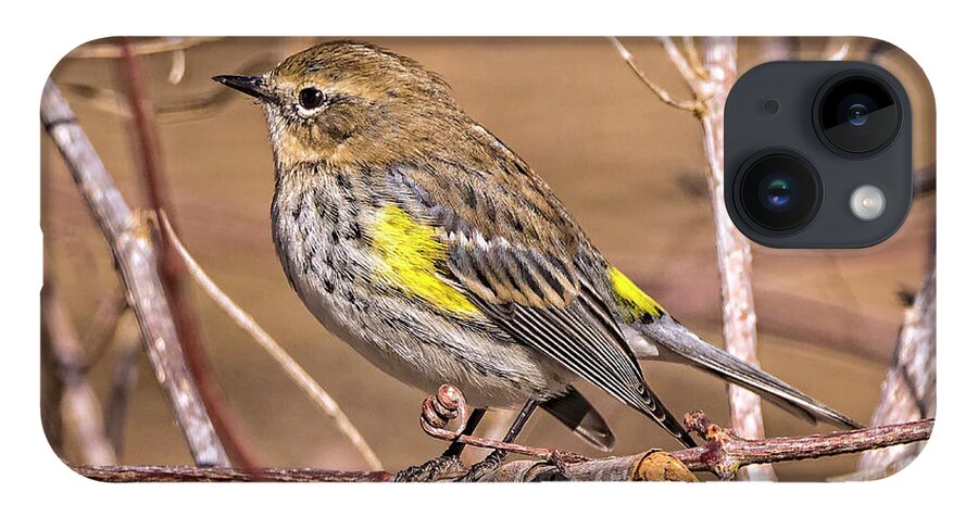 Nature iPhone 14 Case featuring the photograph Yellow-Rumped Warbler by DB Hayes