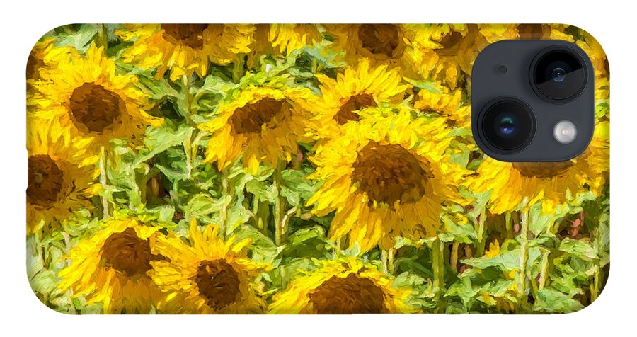 David Letts iPhone Case featuring the painting Yellow Sunflowers by David Letts