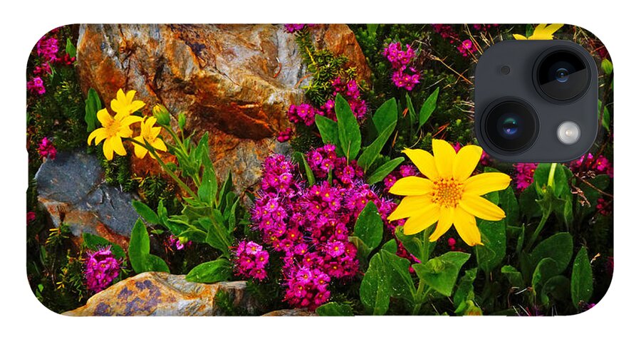 Wildflowers iPhone 14 Case featuring the photograph Yosemite Wildflowers by Lawrence S Richardson Jr