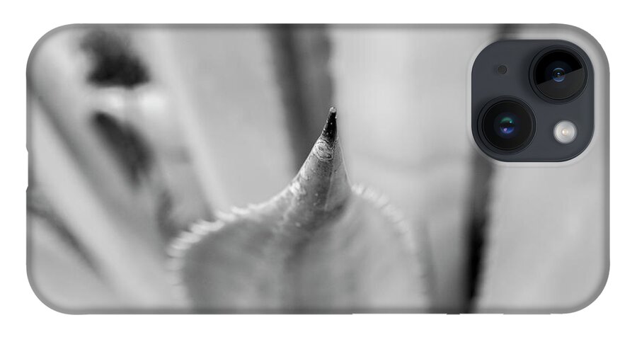 Yucca iPhone 14 Case featuring the photograph Yucca Point by Jason Hughes