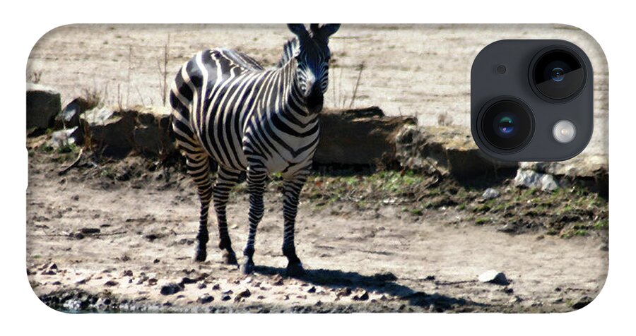 Zebra iPhone 14 Case featuring the mixed media Zebra at the watering hole by Steve Karol