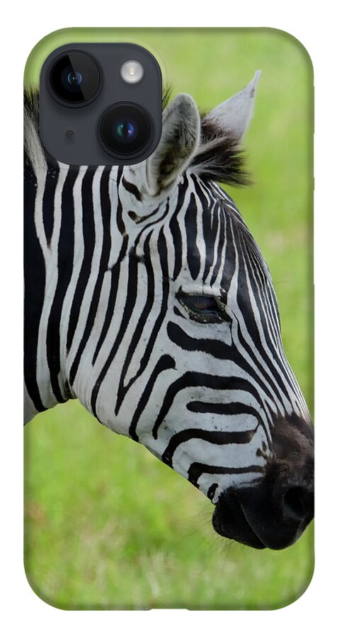 Zebra iPhone 14 Case featuring the photograph Zebra Head Profile on Savannnah by Artful Imagery