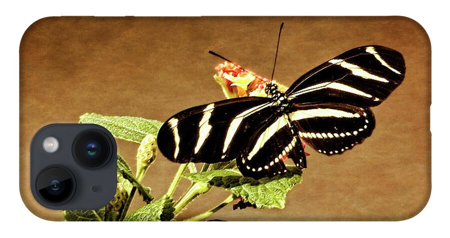 Art iPhone Case featuring the photograph Zebra Longwing by Dawn Currie