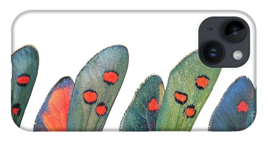 Specimen iPhone Case featuring the photograph Burnet moth wings by Martinez Clavel
