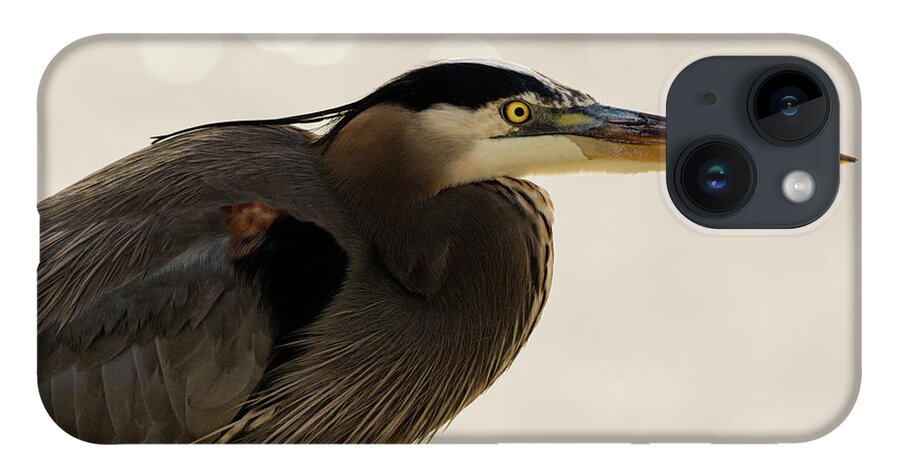 Great Blue Heron iPhone 14 Case featuring the photograph Great Blue Heron Portrait #1 by Sam Rino