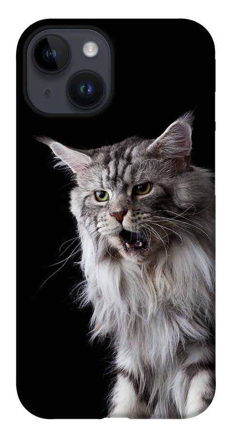Three Quarter Length iPhone Case featuring the photograph Maine Coon Cat by Ultra.f