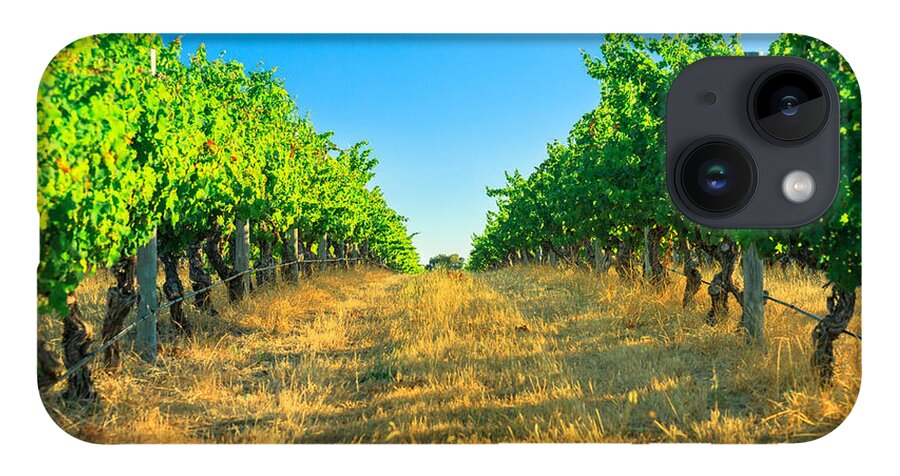 Vineyard iPhone 14 Case featuring the photograph Margaret River Vineyard #1 by Benny Marty