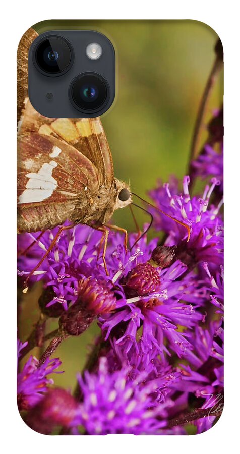 Macro Photography iPhone Case featuring the photograph Moth On Purple Flowers by Meta Gatschenberger