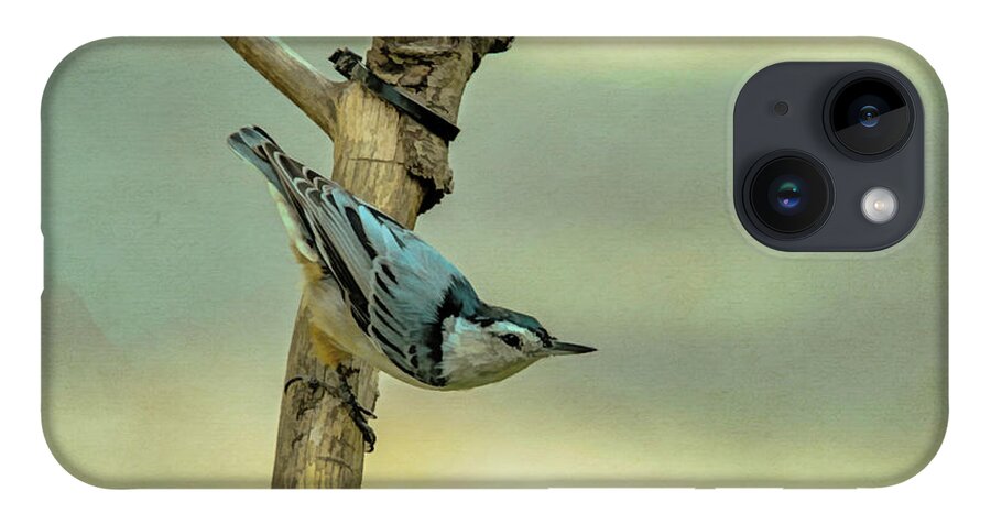 Songbird iPhone 14 Case featuring the photograph Nuthatch by Cathy Kovarik