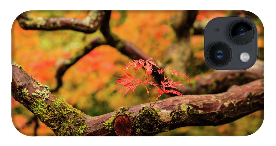 Japanese Garden iPhone 14 Case featuring the photograph Rebirth by Briand Sanderson